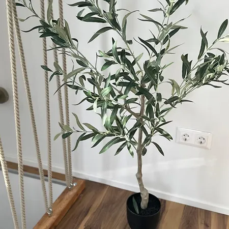 Taltos センテンドレ